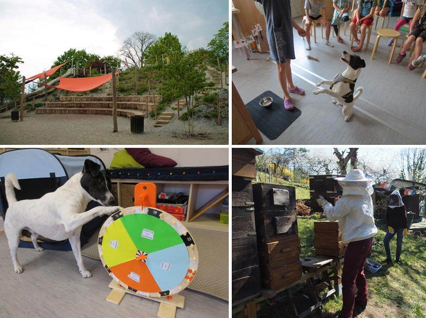 Bilder des Hortes der 30.Grundschule